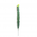 CACTO CANDELABRO (G) 