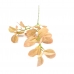 GALHO PEPEROMIA LIMÃO
