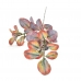GALHO PEPEROMIA LIMÃO