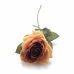 GALHO DE ROSA