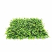 PLACA DE GRAMA JIBOIA 40X60