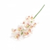GALHO DE ORQUÍDEA SILICONADA CYMBIDIUM