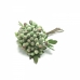 RAMALHETE CORNUS SERICEA X5 HASTES