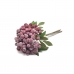 RAMALHETE CORNUS SERICEA X5 HASTES