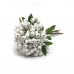 RAMALHETE CORNUS SERICEA X5 HASTES