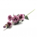 GALHO DE LISIANTHUS X6 HASTES