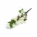 MINI GALHO MALUS FLORIBUNDA X3 HASTES