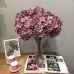 GALHO DE HORTÊNSIA X1 HASTE