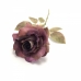 GALHO DE ROSA X1 HASTE