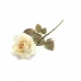 GALHO DE ROSA X1 HASTE