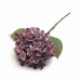 GALHO DE HORTÊNSIA X1 HASTE